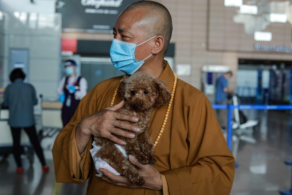 famous monk dog trainers
