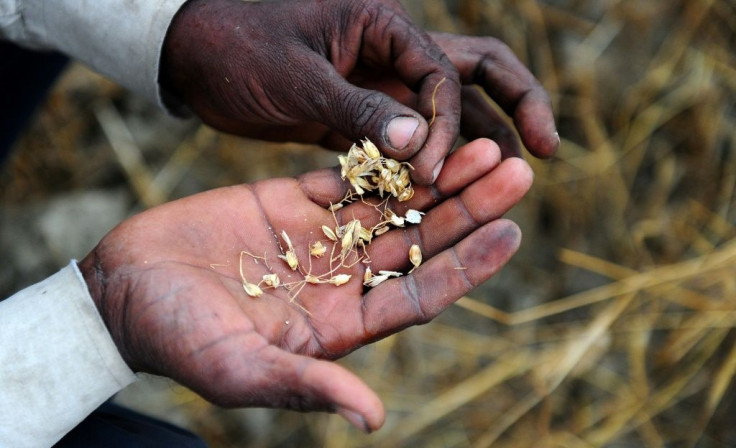 The frequency of sudden food production losses has already increased steadily over the past 50 years