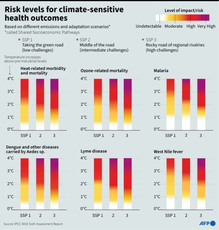 Climate-sensitive health outcomes