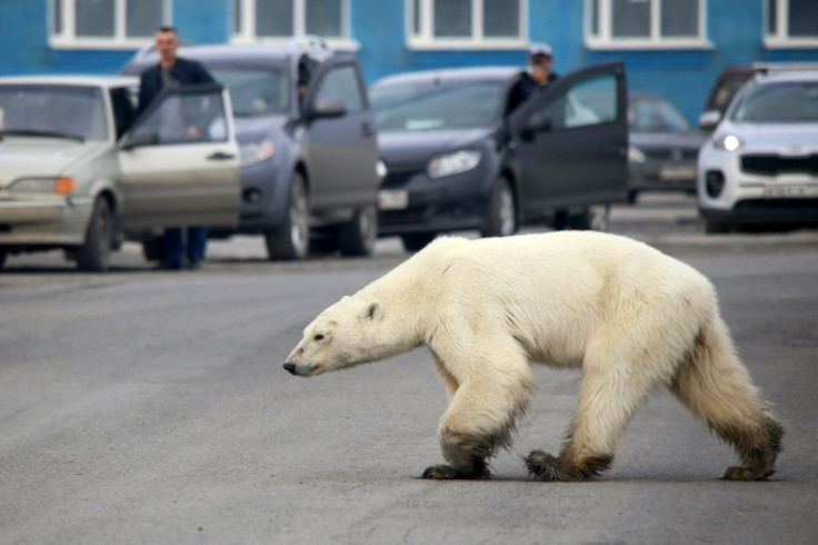 Climate change is putting many species and ecosystems under severe threat