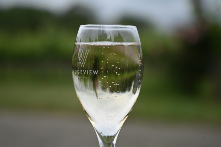 The glass is half full for Ridgeview winery as demand for British wine is up domestically.