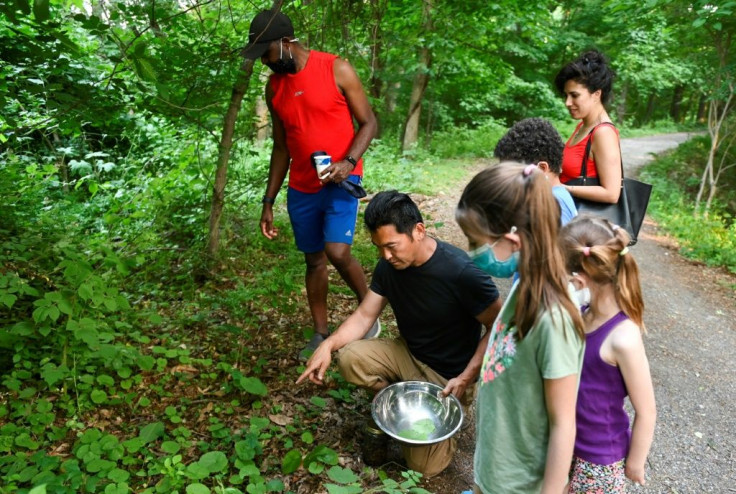 Chef Bun Lai and some friends collect cicadas in Fort Totten Park in Washington on May 23, 2021 for the purpose of cooking them