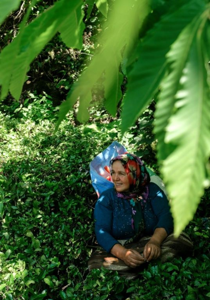 Tea-picker Pervin Bas was among the villagers detained by police for protesting against the quarry