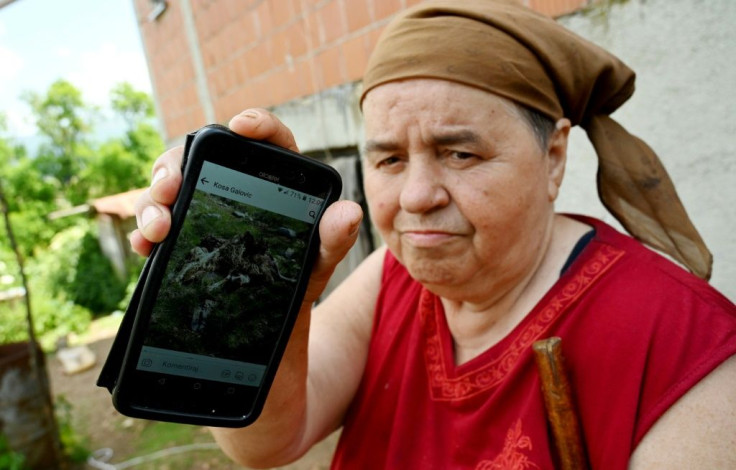 Kosa Galovic used her phone to record images of three sheep and five lambs that were killed by wolves in May