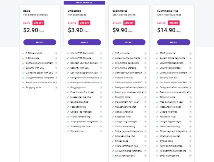 Zyro Pricing