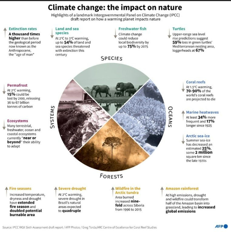 Highlights of a landmark Intergovernmental Panel on Climate Change (IPCC) draft report on the effects of a warming planet on nature