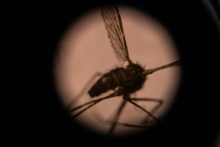 China becomes the 40th territory certified malaria-free by the WHO