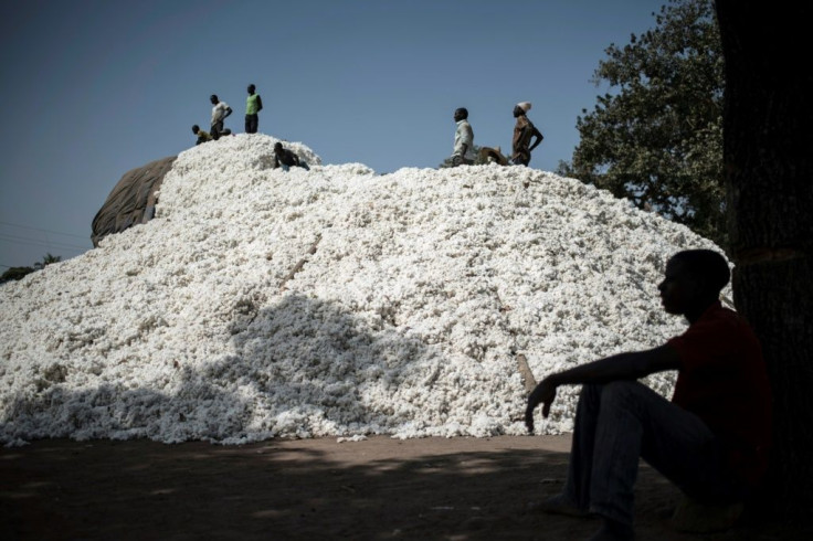 Harvest time: Togo and Benin are looking to cotton to create jobs in their agriculture-dependent economies