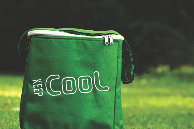 cooler-bag-4812757_1920