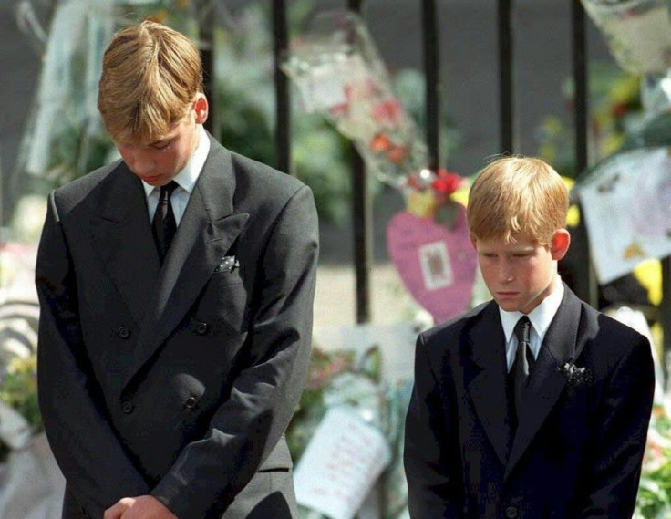 Prince William and Prince Harry provided the enduring image from Diana's funeral, as they stood, head bowed, in grief