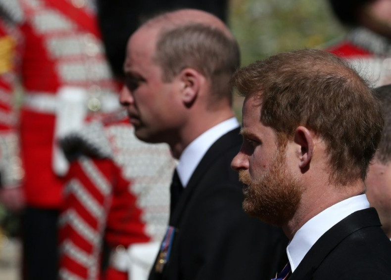 Prince William and Prince Harry's relationship -- once close -- has soured
