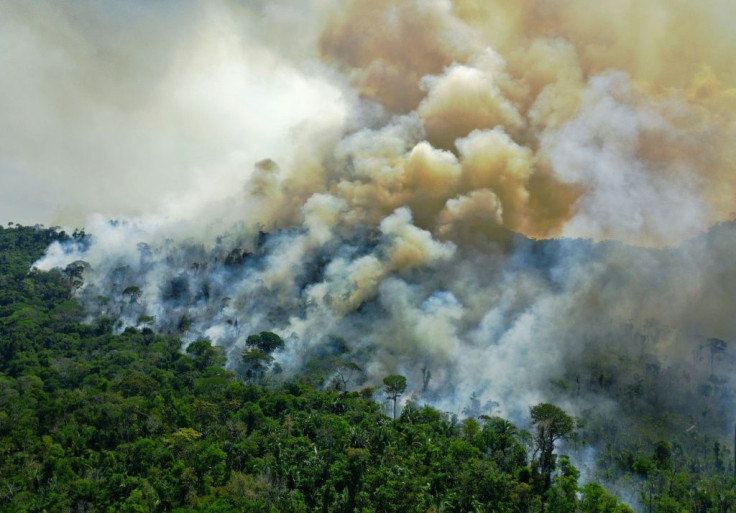 This photo taken on August 16, 2020 shows a fire in the Amazon rainforest south of Novo Progresso in Para state, Brazil