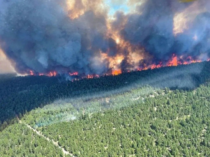 This handout photo courtesy of BC Wildfire Service shows the Sparks Lake wildfire, British Columbia, seen from the air on June 29, 2021