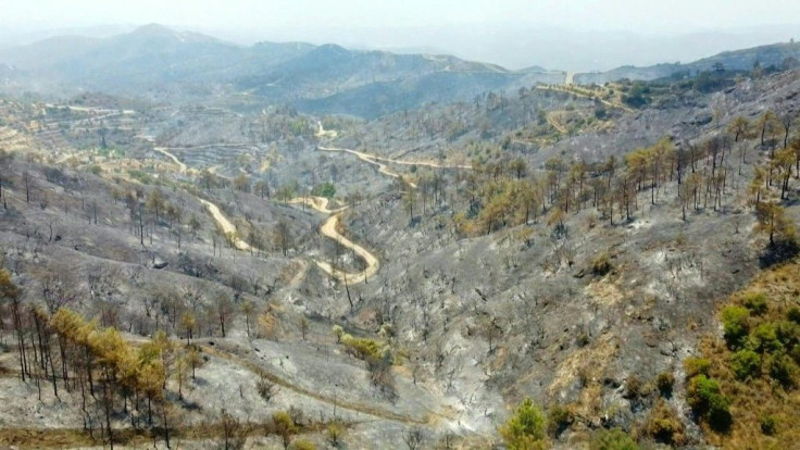 A huge forest blaze in Cyprus has killed four people, destroyed homes and forced evacuations of villages as Greece, Israel and other countries deployed fire-fighting planes to the Mediterranean island.