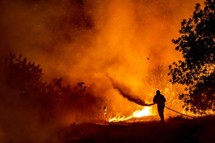 A firefighter battles the flame in a forest on the slopes of the Throodos mountain chain, as a giant fire rages on the Mediterranean island of Cyprus