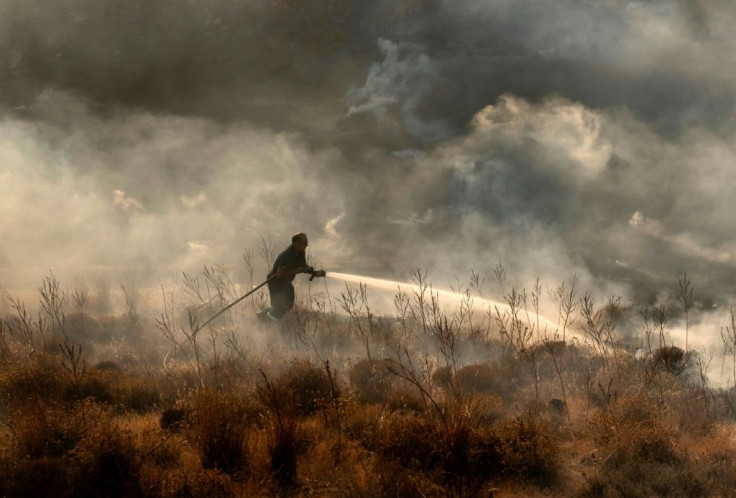 The fire in Cyprus destroyed 55 square kilometres (21 square miles) of forest and farmland, according to the forestry department