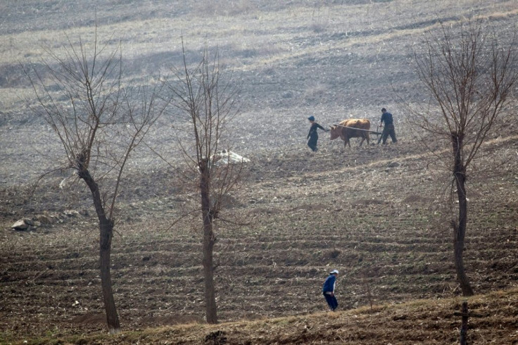 North Korea, which is under multiple sets of international sanctions over its nuclear weapons and ballistic missile programmes, has long struggled to feed itself, suffering chronic food shortages