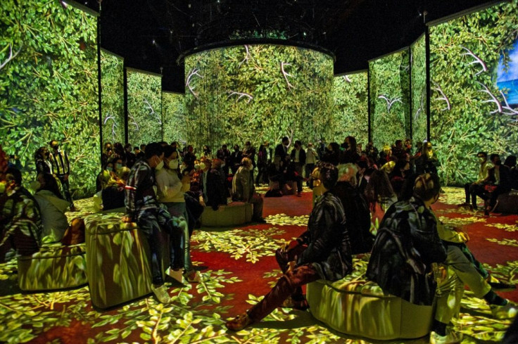 The exhibition uses larger-than life projections, music and journal extracts to create an immersive experience of Frida Kahlo's paintings
