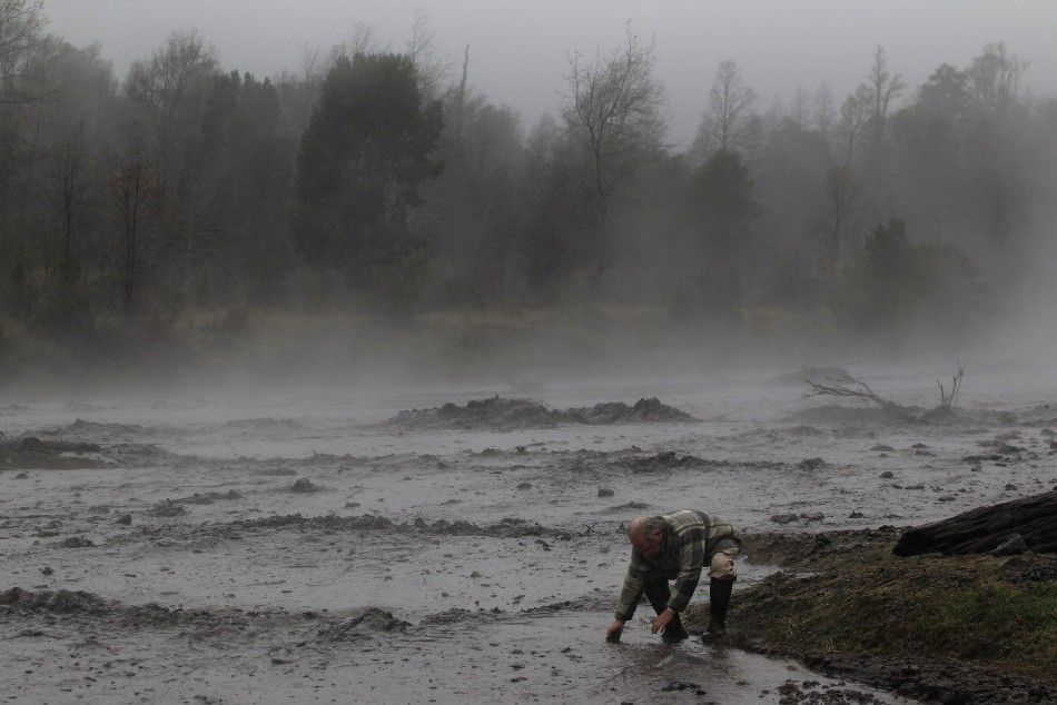 A resident inspects the waters of the Nilhue River, fed by unusually warm water from the hot flanks of an erupting volcano from the Puyehue-Cordon Caulle volcanic chain near Lago Ranco town.