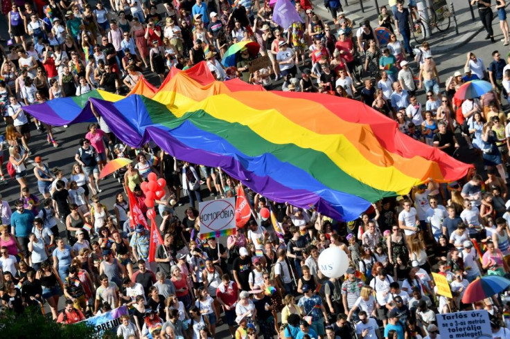 A protest in Budapest earlier this month against the anti-paedophilia, which came into force on Thursday