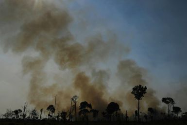This file photo taken on August 16, 2020, shows a burnt area of Amazon rainforest reserve in Para, Brazil