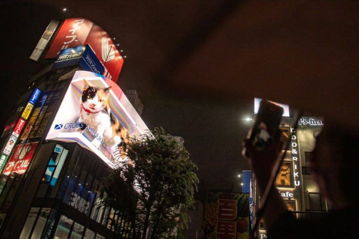 The white, black and orange cat appears between adverts on a new digital billboard