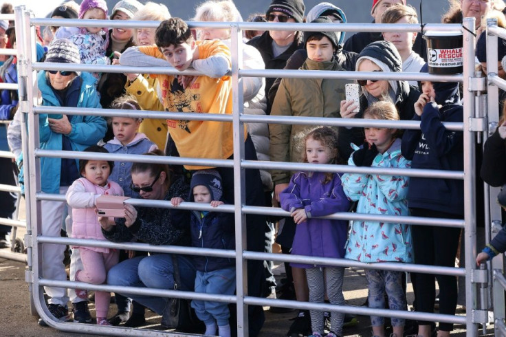 Children and parents catch a glimpse of Toa in Plimmerton