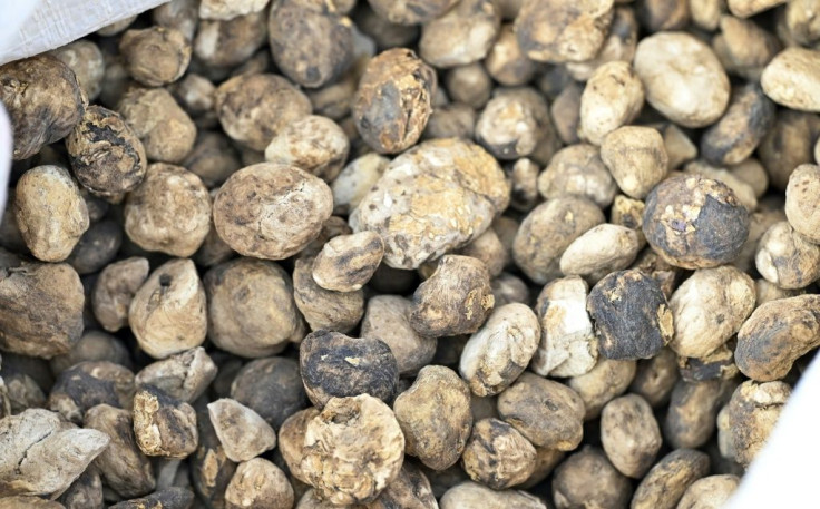 Chuno (dehydrated potatoes) are seen in Machacamarca, Bolivia, on June 30, 2021