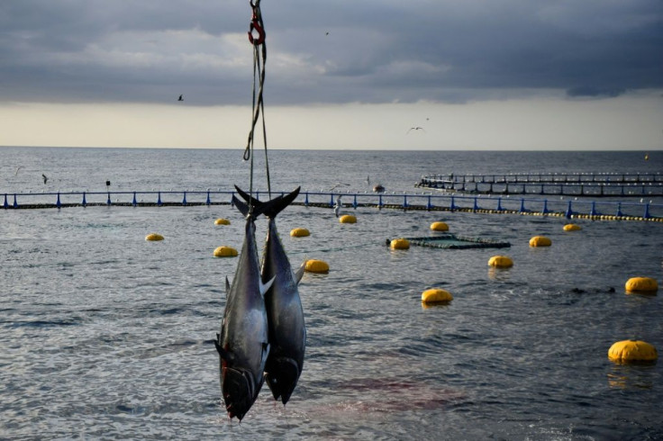 There appears to be consensus around excluding fish-farming and continental fishing from WTO subsidy constraints