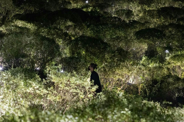 Sensors hidden in a thicket of azaleas detect when people walk past