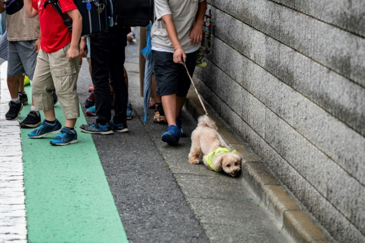These cuddly companions are pawfect at sniffing out crime