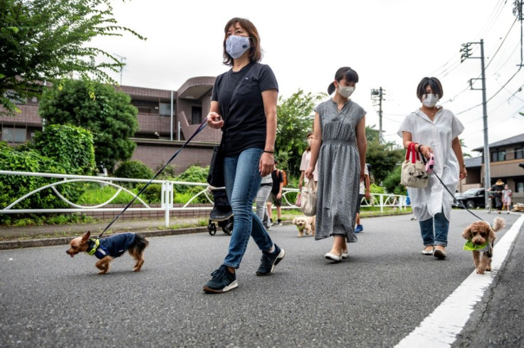 These pups may not look menacing but no purrpetrators have escaped on their watch