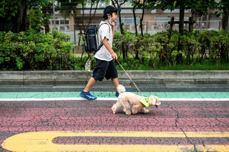 Tokyo's neighbourhood watch pooches are wagging away crime and cuddling away fear