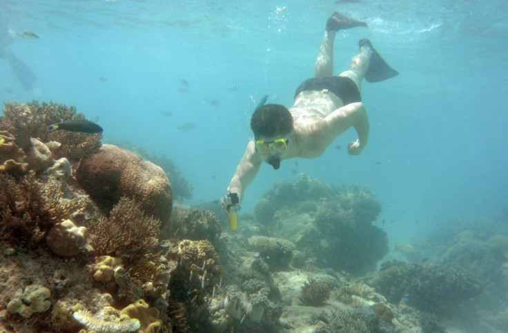 The reef has suffered three mass coral bleaching events in the past five years, by some measures losing half its corals since 1995 as ocean temperatures have climbed