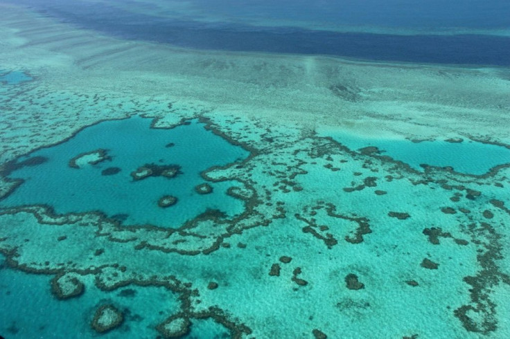 This is not the first time the UN has threatened to downgrade the reef's World Heritage listing -- furious lobbying by Australia prevented it in 2015