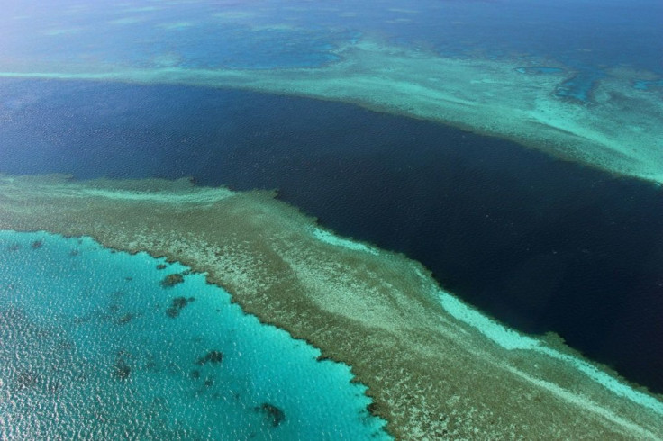 The Great Barrier Reef is the world's largest living structure