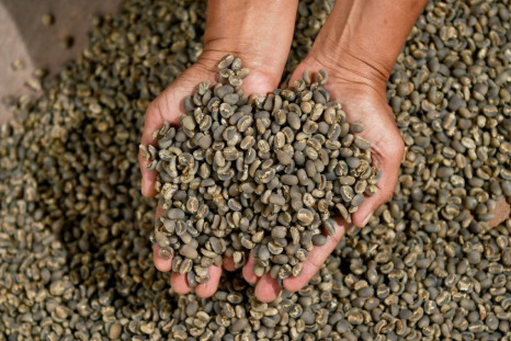 Arabica coffee soared to its highest level since 2014