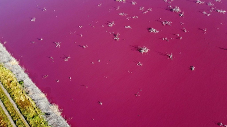 The Corfo lagoon in Patagonia, which is not used for recreation, receives runoff from the Trelew industrial park, and it is not the first time it has turned this unnatural color