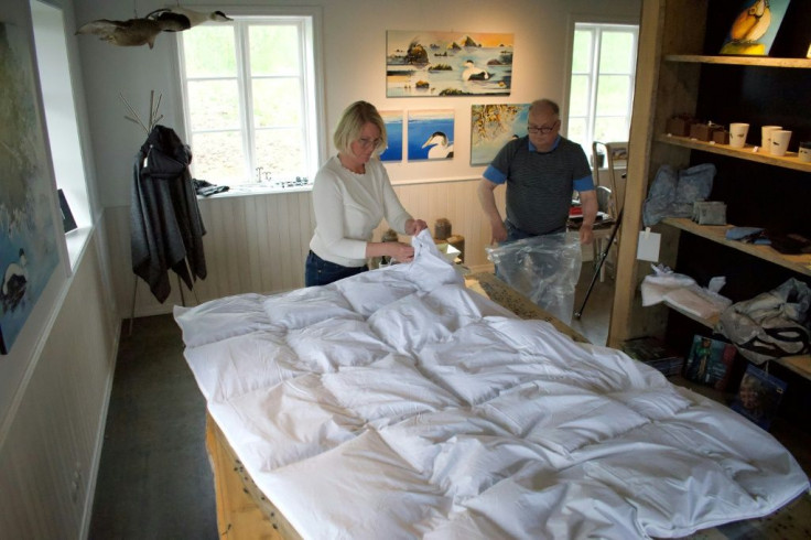 Erla Fridriksdottir (L), head of King Eider, one of the country's main exporters, says that when there are eggs still in the eider's nest they only take part of the down