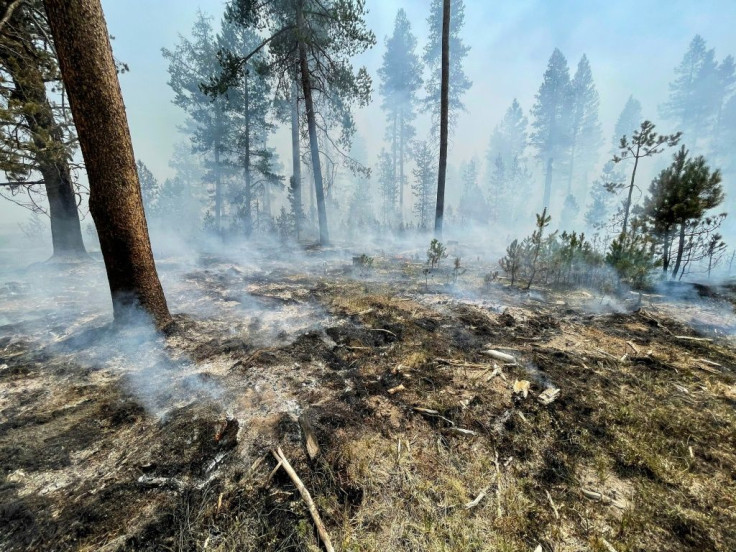 "The climate currently behaves like an athlete on steroid," said Erich Fischer, a senior scientist at ETH Zurich