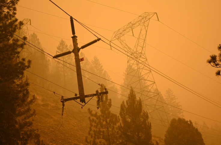 The fire broke out when a tree fell on one of California's exposed power lines