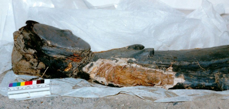 Chinchorro mummies were either painted red, black or wrapped in bandages