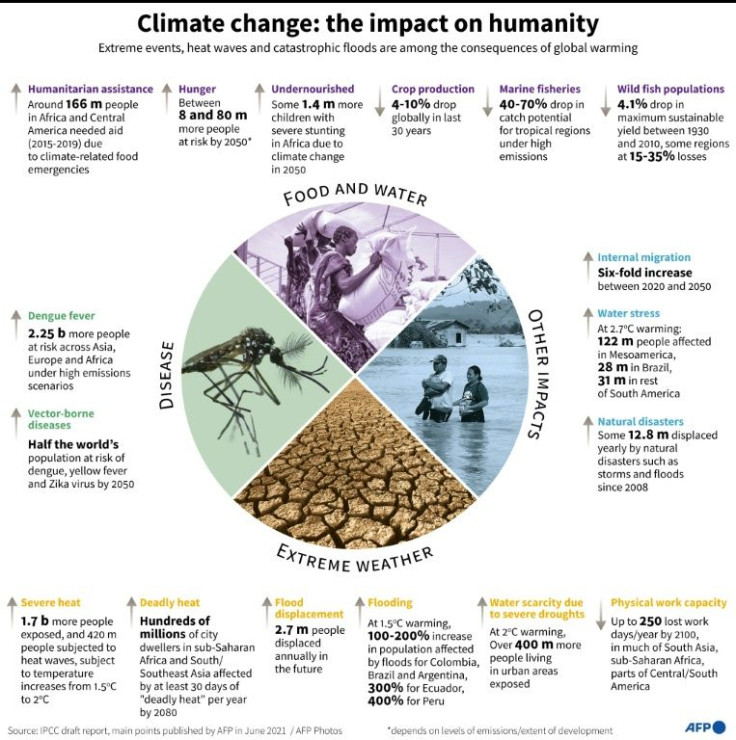 Highlights of a landmark Intergovernmental Panel on Climate Change (IPCC) draft report on the effects of a warming planet on people.