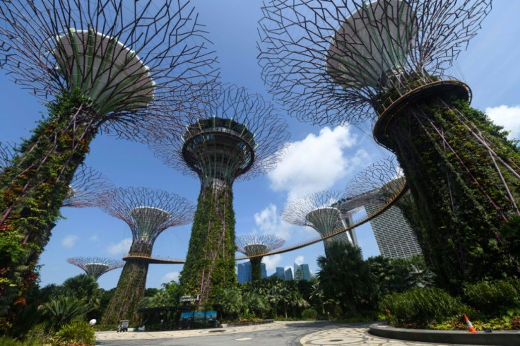 Singapore's Gardens by the Bay has giant plant-covered "trees" and massive greenhouses with rare plant species