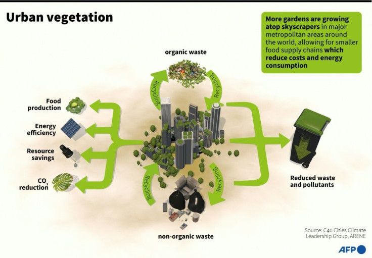 Advantages for cities transforming their concrete jungles with rooftop agriculture and vertical farms