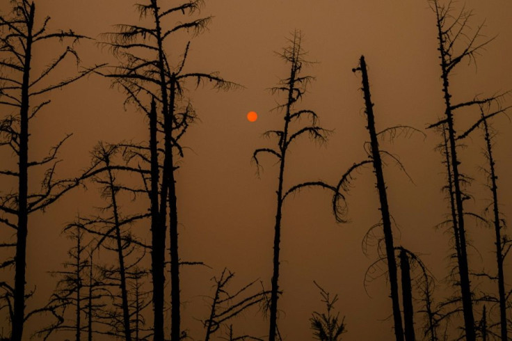 With more than a month still to go in Siberia's annual fire season, more than 1.5 million hectares (3.7 million acres) of Yakutia's swampy coniferous taiga has already been lost