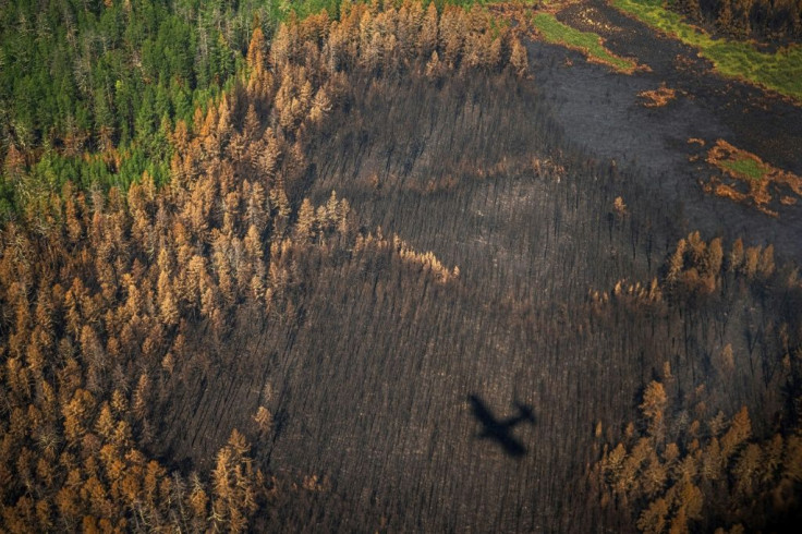 'If we weren't around, everything would burn,' says Yegor Zakharov, a brigade leader with Russia's Aerial Forest Protection Service