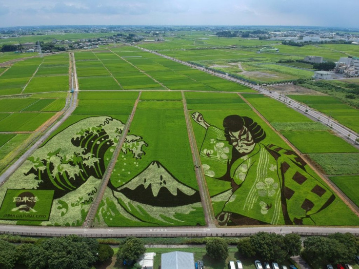 The rice field artwork is intended to highlight Japan's cultural heritage