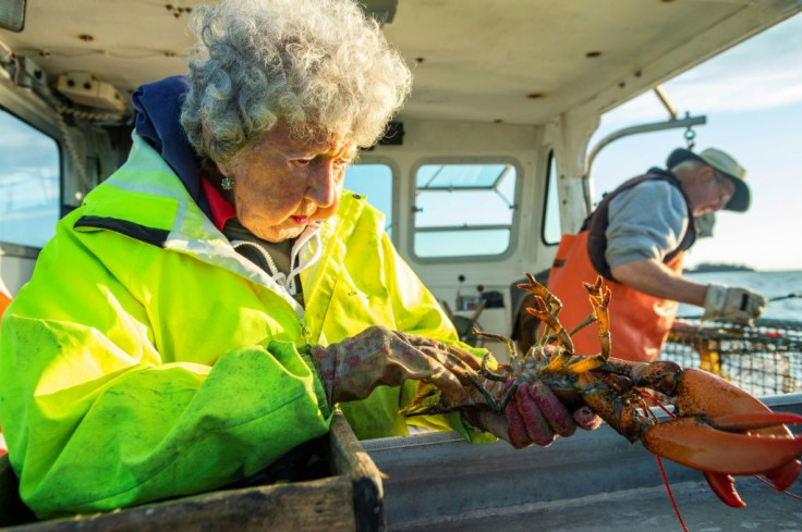 Virginia Oliver -- known as the 'Lobster Lady' in her native Maine, in the northeastern United States, has been trapping lobsters for over nine decades