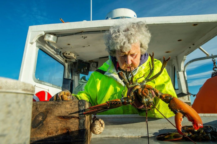 Wearing wellies, slickers and rubber gloves, Oliver stands over the holding tank and grabs lobsters to inspect one at a time as her son passes them to her